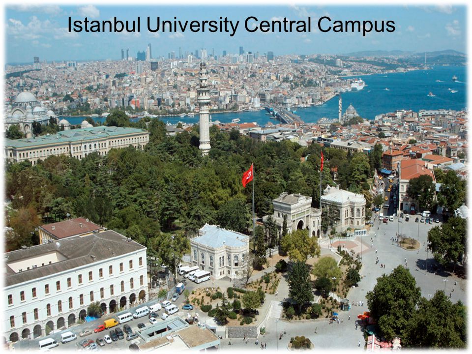 دانشگاه مورد تایید وزارت بهداشت در ترکیه 2019-2020