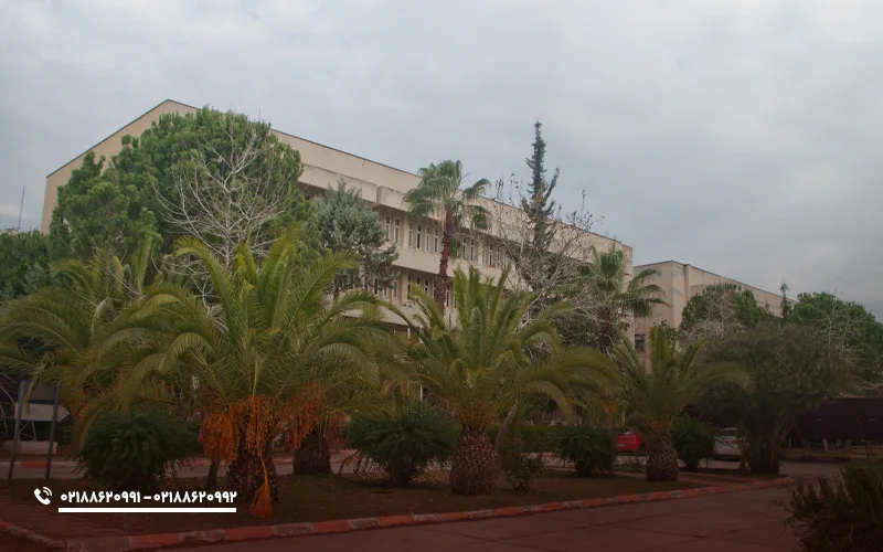 دانشکده های دانشگاه چوکوروا