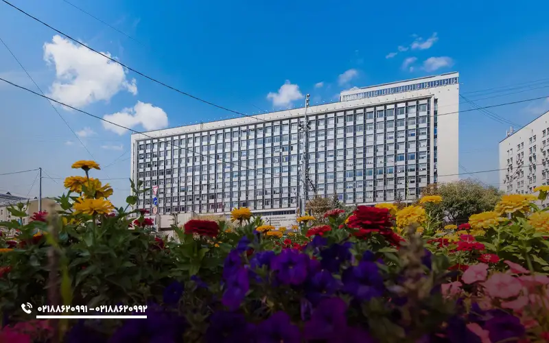 رتبه بندی دانشگاه ملی علم و فناوری میسیس