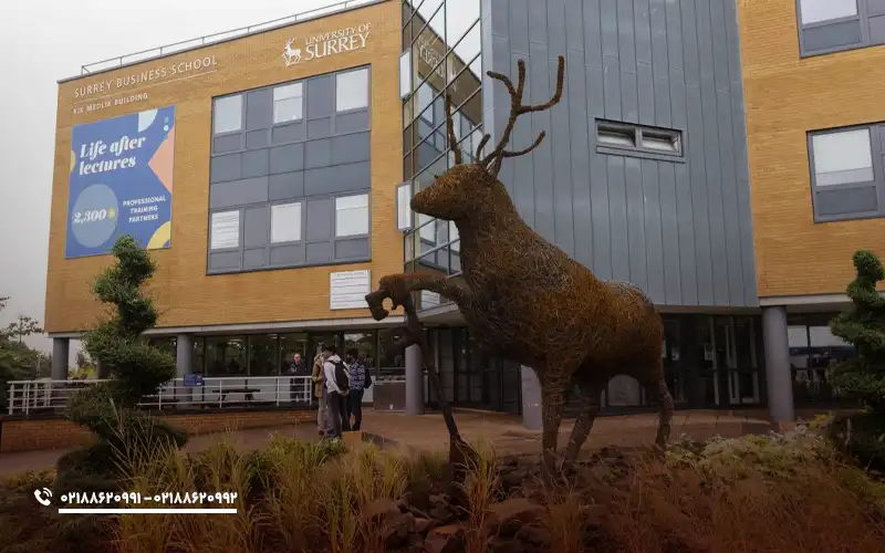 پذیرش دانشگاه سوری انگلستان