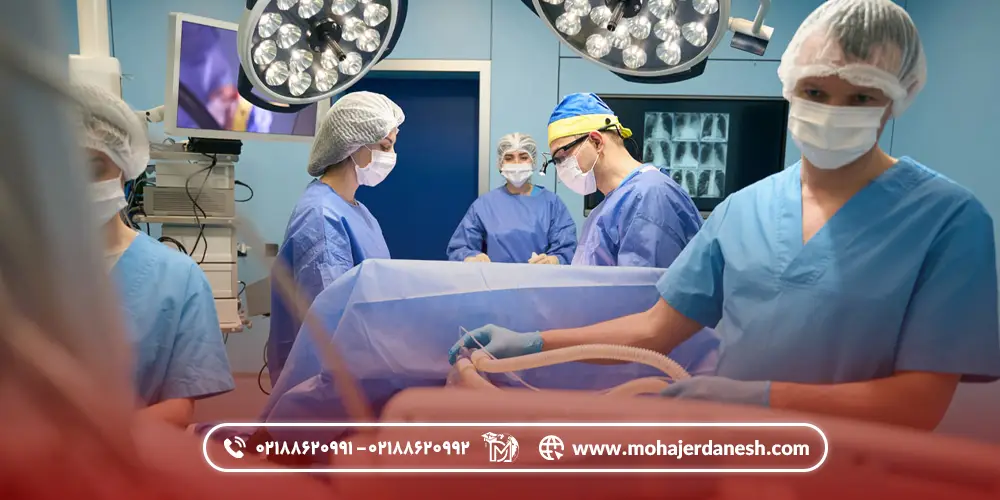 بهترین دانشگاه های هوشبری در روسیه